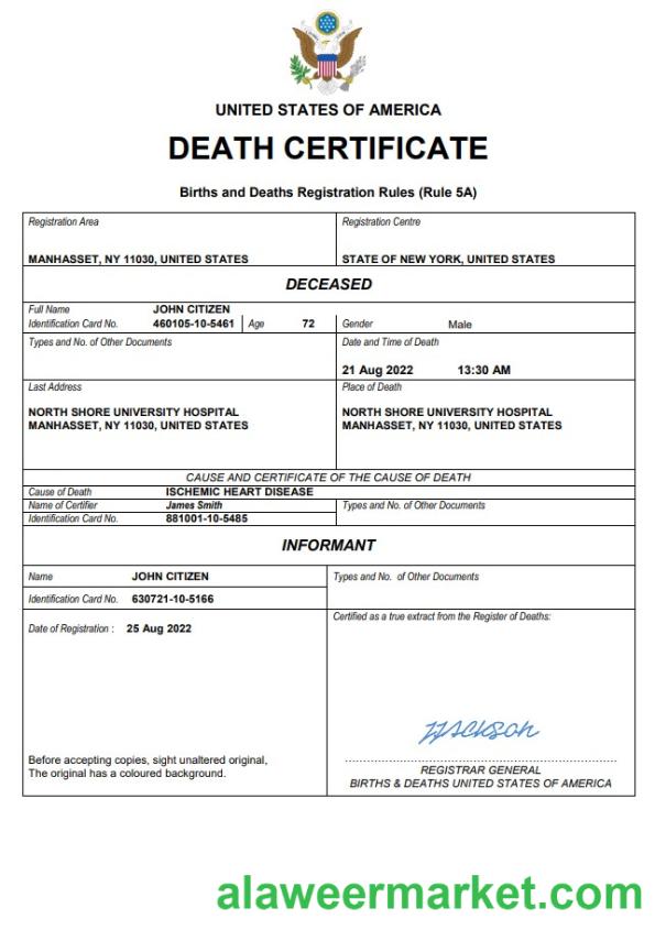 USA vital record death certificate Word and PDF template